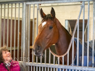 AK021025-102 - Believitanducan